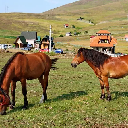Brvnara Zlatiborka Apartman *