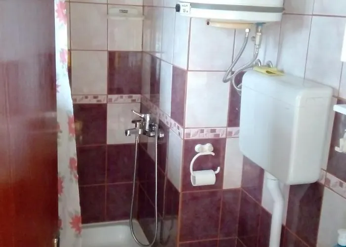 Brvnara Zlatiborka *