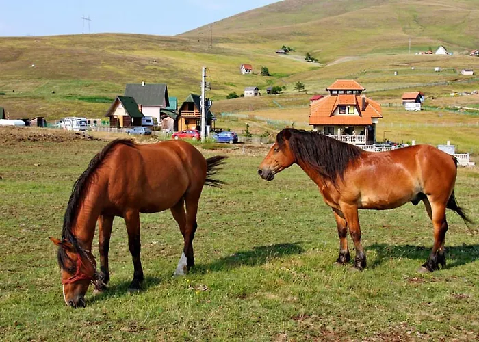 Brvnara Zlatiborka Lägenhet *